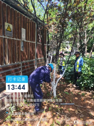 图片5