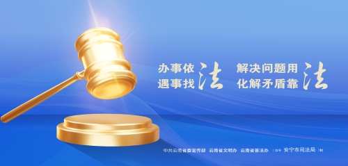 办事依法2