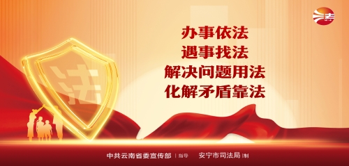 办事依法3