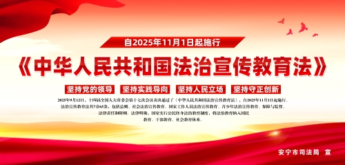 法治宣传教育法3