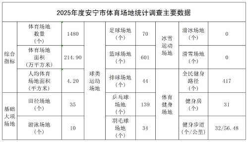 2025年度安宁市体育场地统计调查主要数据_Table1