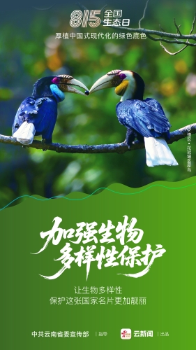 全国生态日海报（竖版）4