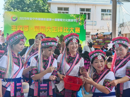 图片2 葡萄文化旅游节